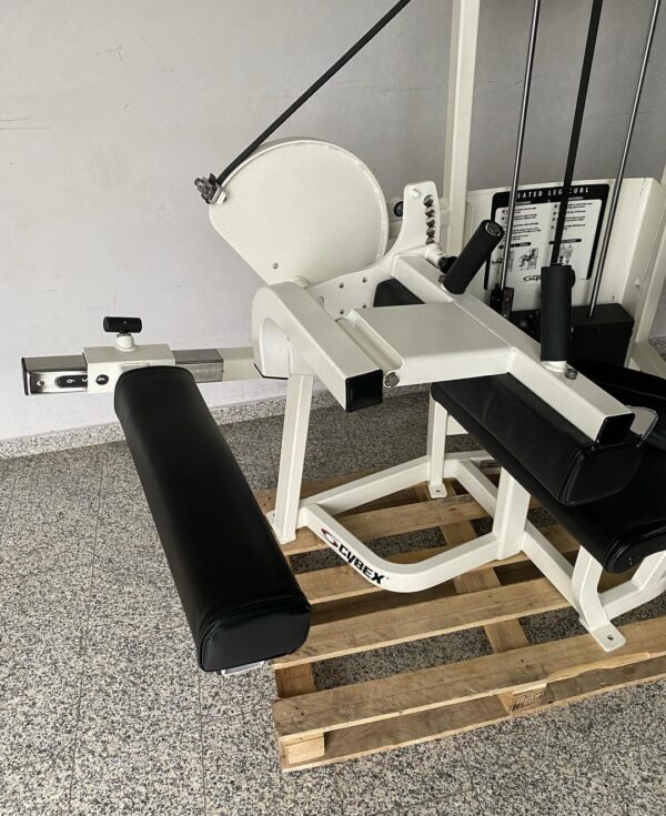 Cybex Vr2 Seated Leg Curl - Image 4
