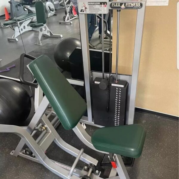 Flex Fitness Strength circuit - Image 3